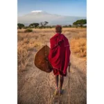 Sidera Vault Handmade Kenyan Maasai Warrior Leather Shield - 27.56"x19.69", One-of-a-Kind East African Tribal Collectible - Image 5